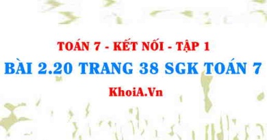 Bài 2.20 trang 38 SGK Toán 7 tập 1 Kết nối tri thức